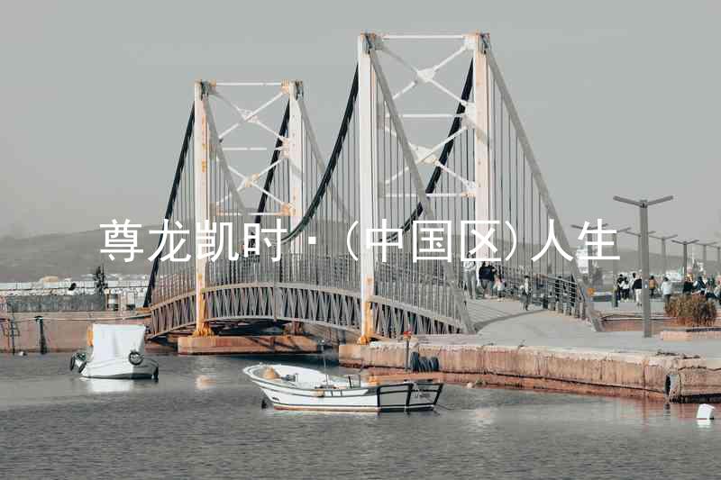 尊龙凯时·(中国区)人生
