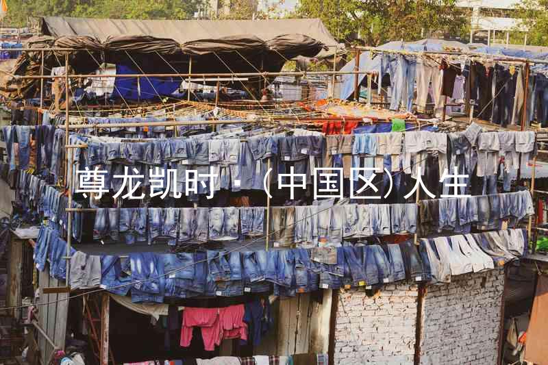 尊龙凯时·(中国区)人生
